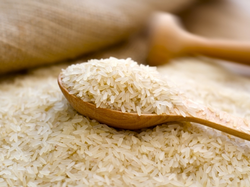 Terme Pirinci Nasıl Yetiştirilir