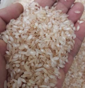 Terme Pirinci Çizgili Geleneksel Karabacak Mersane